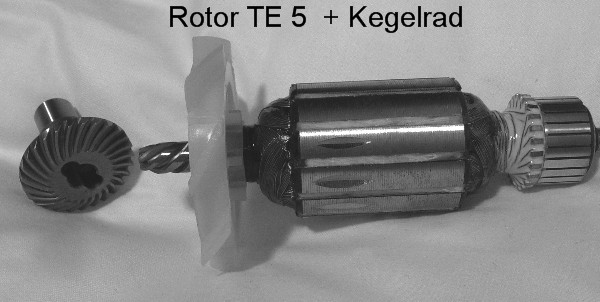 Hilti Te 5 Anker (Rotor) inklusive Kegelrad